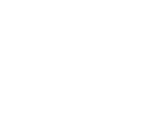 Alternate Text
