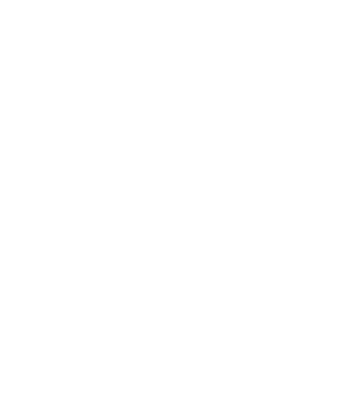 Alternate Text
